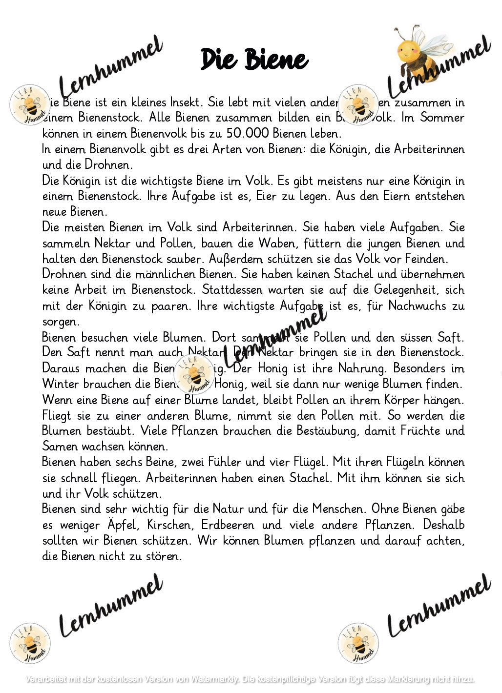 Hörverstehen - Die Biene (Sachtext)