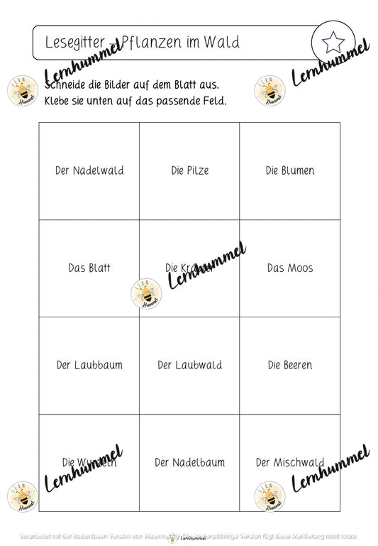 Lesegitter Wald
