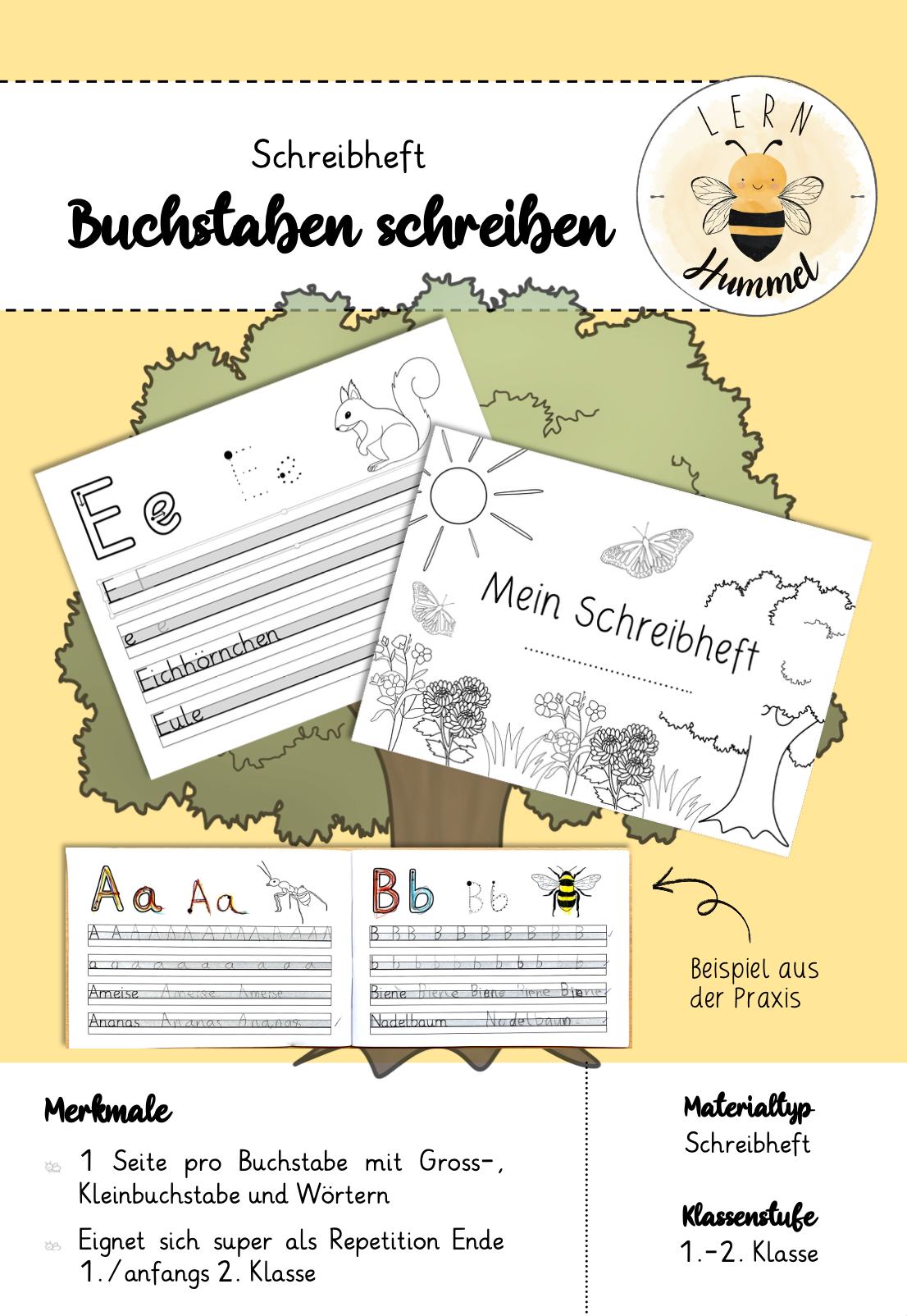 Buchstabenheft (Schreibabläufe)