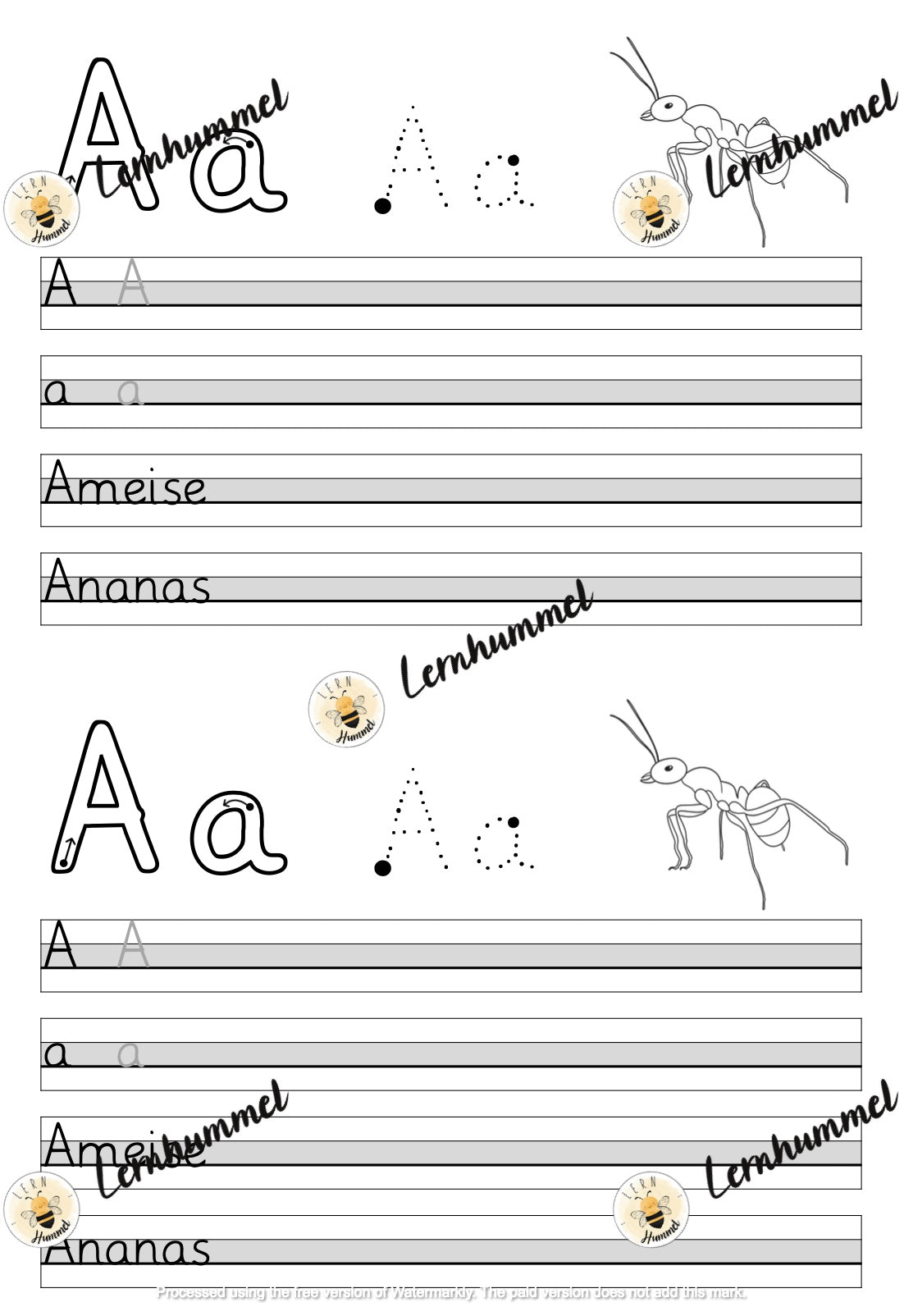 Buchstabenheft (Schreibabläufe)