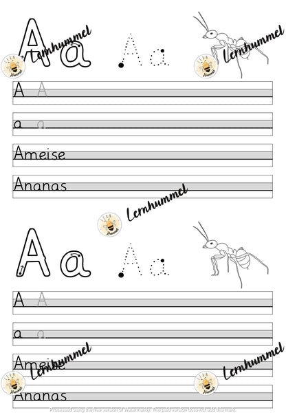 Buchstabenheft (Schreibabläufe)