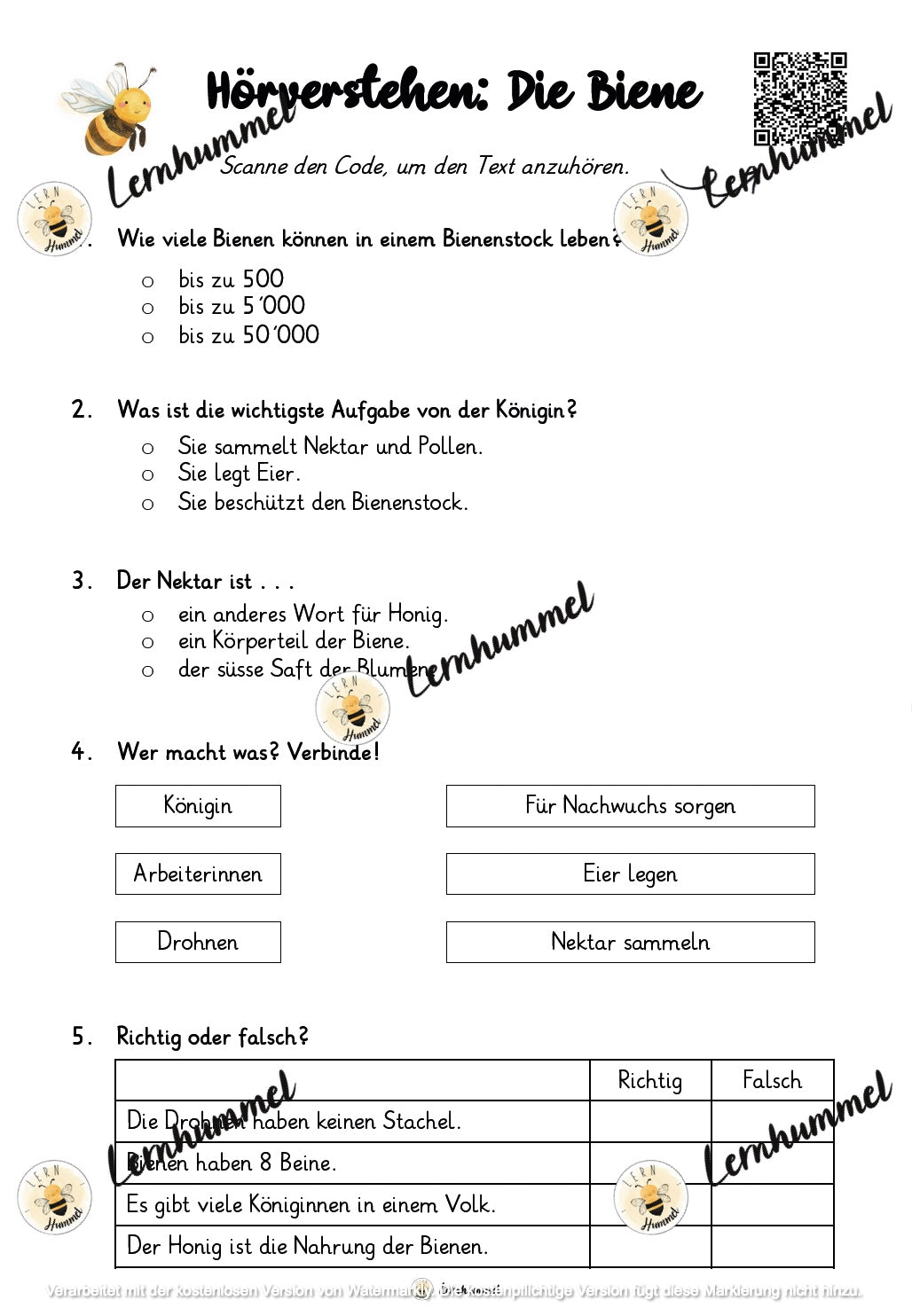 Hörverstehen - Die Biene (Sachtext)