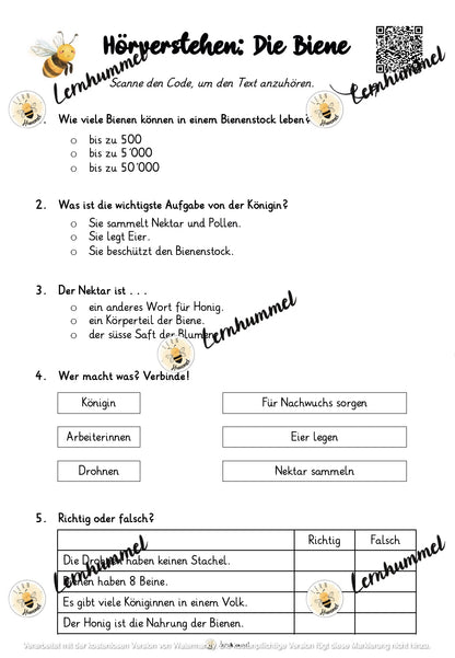 Hörverstehen - Die Biene (Sachtext)