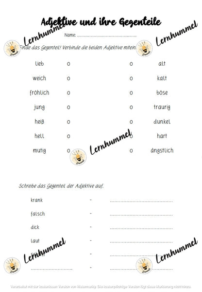 Erste Adjektiv-Übungen