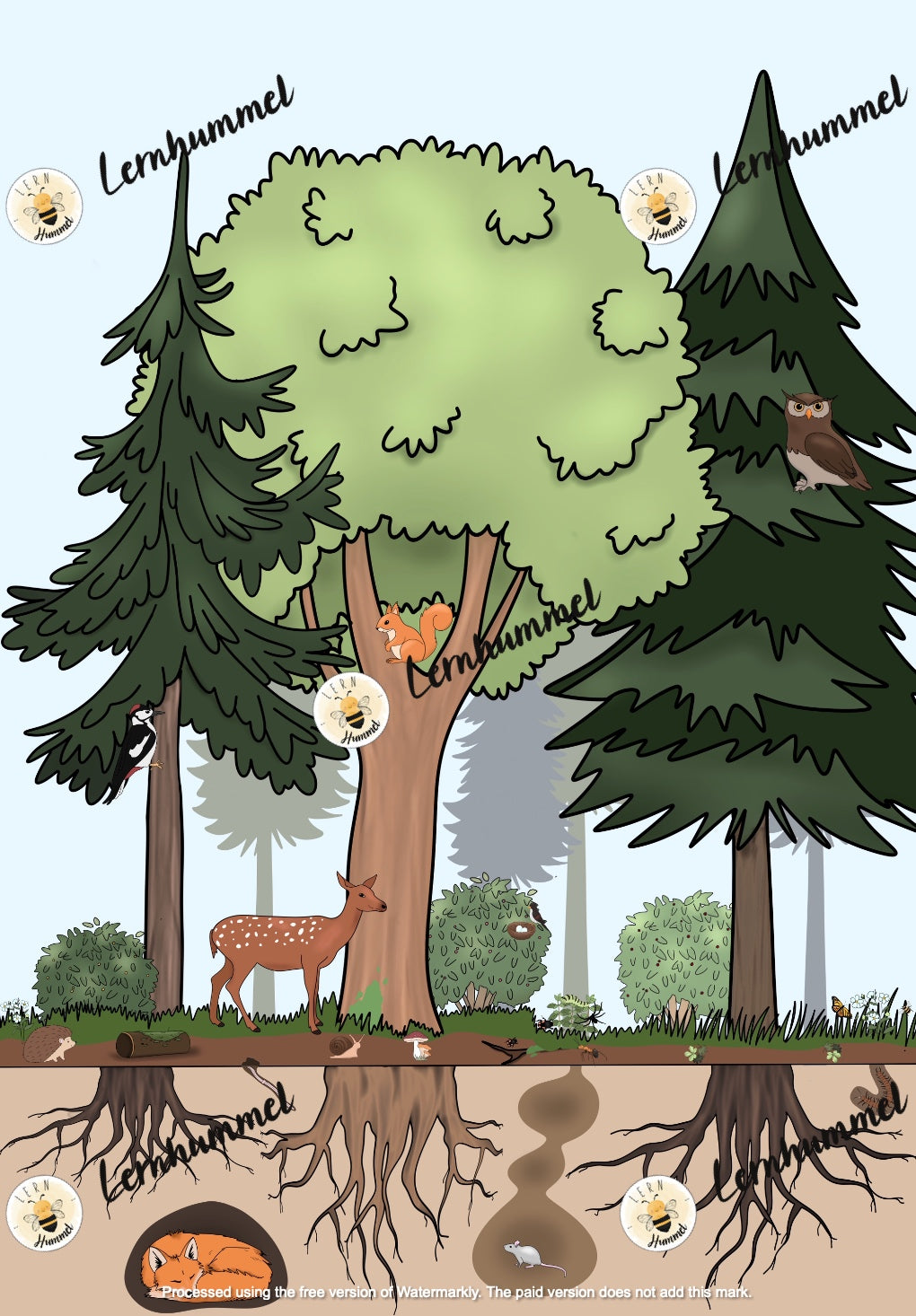 Schreiben zum Wald-Wimmelbild