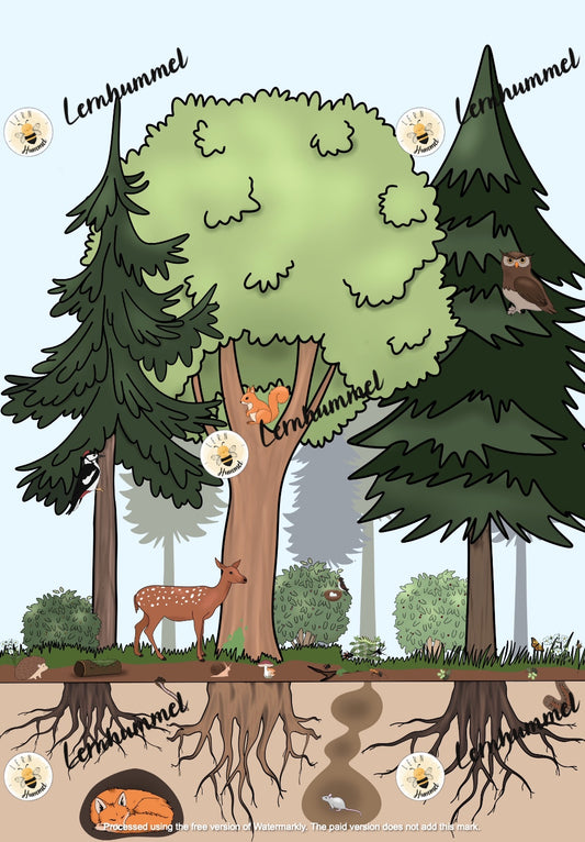 Schreiben zum Wald-Wimmelbild