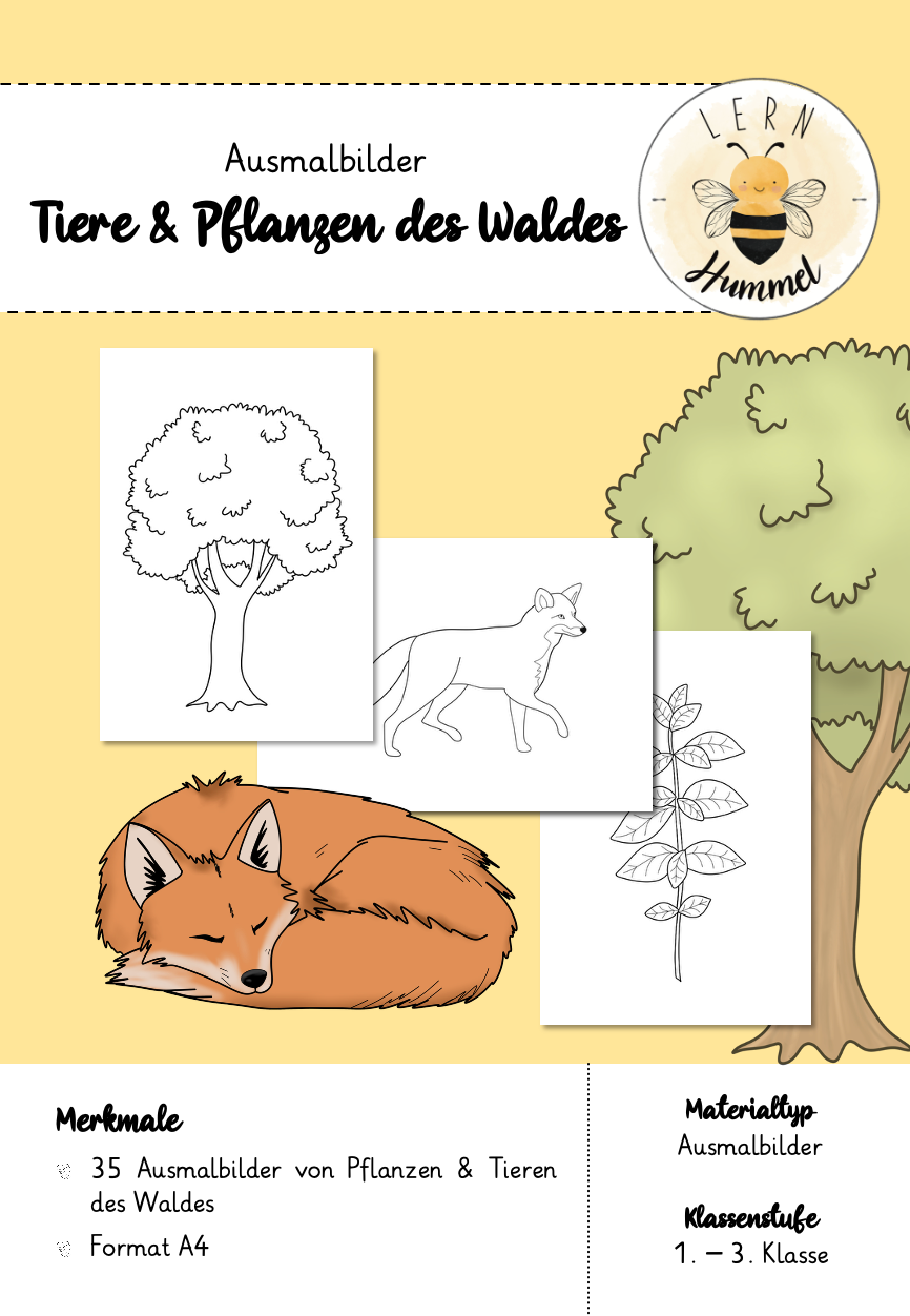Ausmalbilder Waldtiere- und Pflanzen