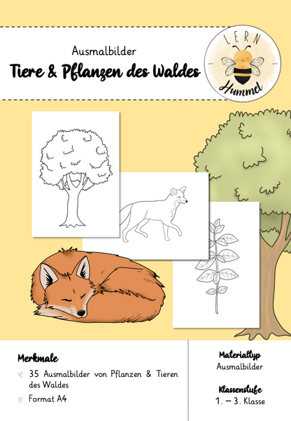 Ausmalbilder Waldtiere- und Pflanzen