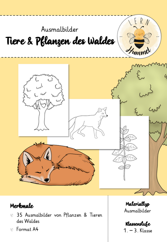 Ausmalbilder Waldtiere- und Pflanzen