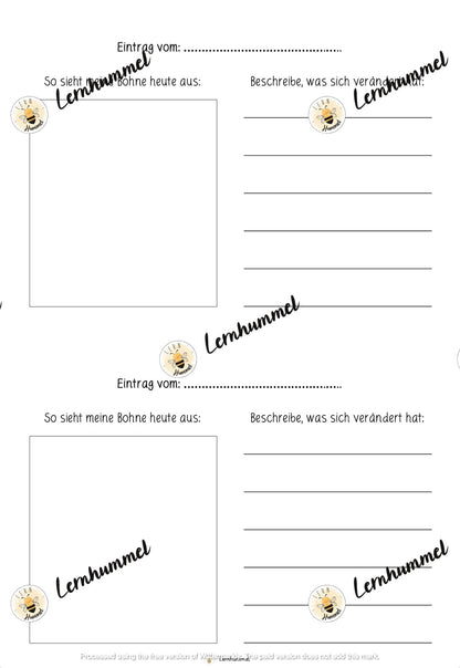 Bohnentagebuch