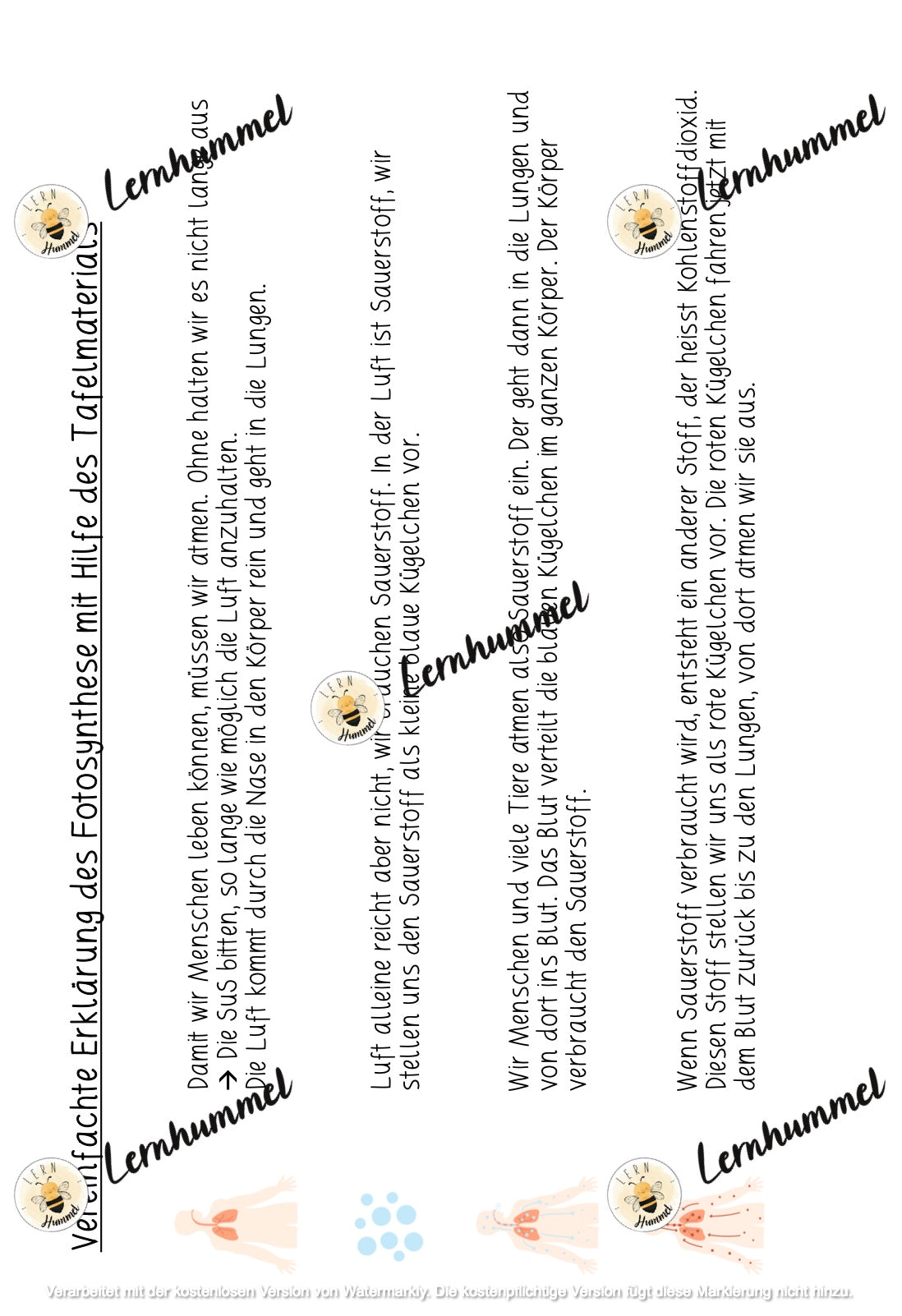 Tafelmaterial - Fotosynthese einfach erklärt!