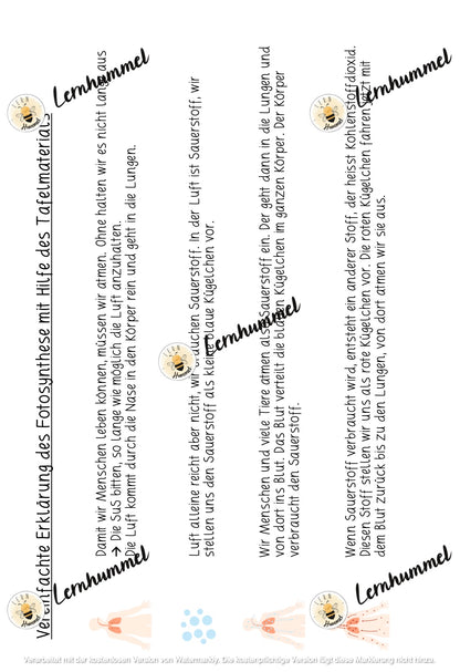 Tafelmaterial - Fotosynthese einfach erklärt!