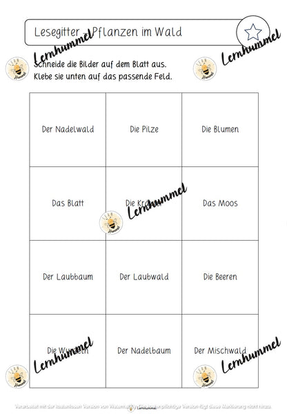 Lesegitter Wald