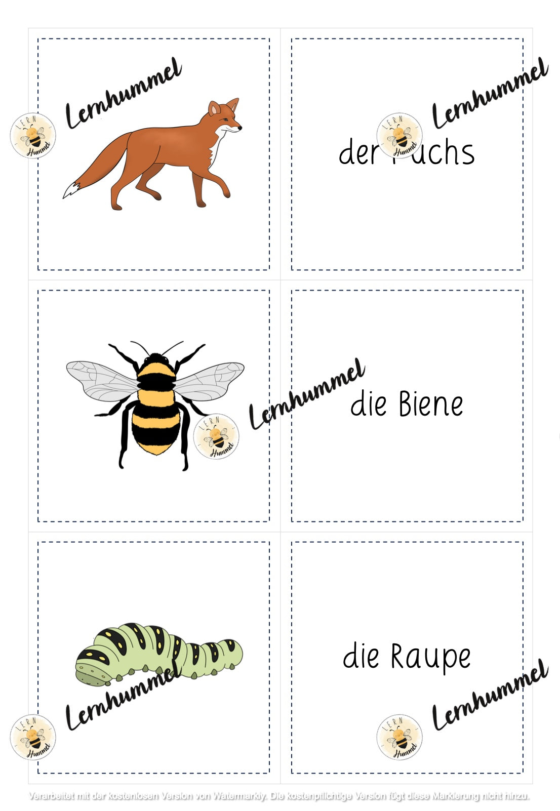 Memo Waldtiere