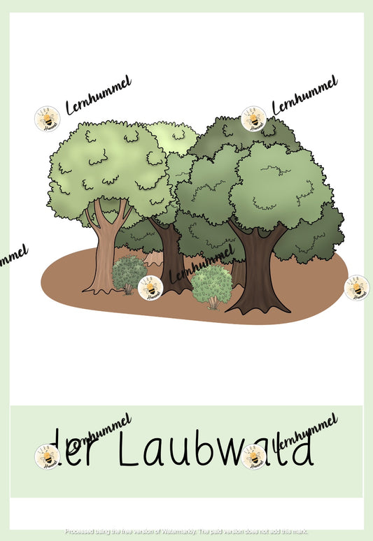 Mini-Poster Wälder