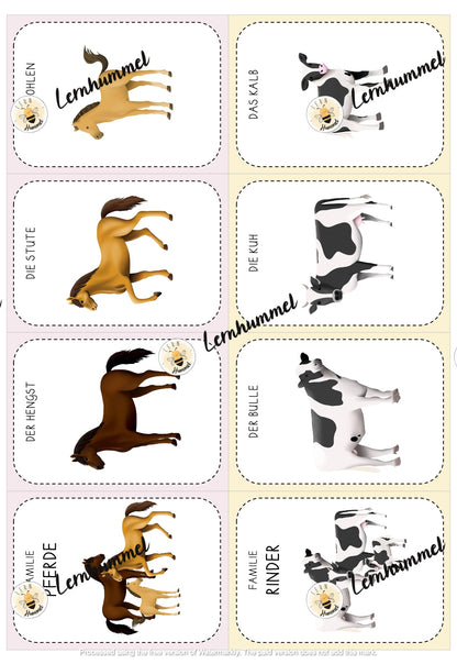 Materialpaket - Tierfamilien (Tafelmaterial, Übungsblätter & Spiele)