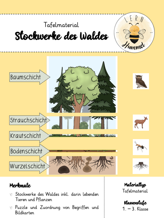 Tafelmaterial Stockwerke des Waldes