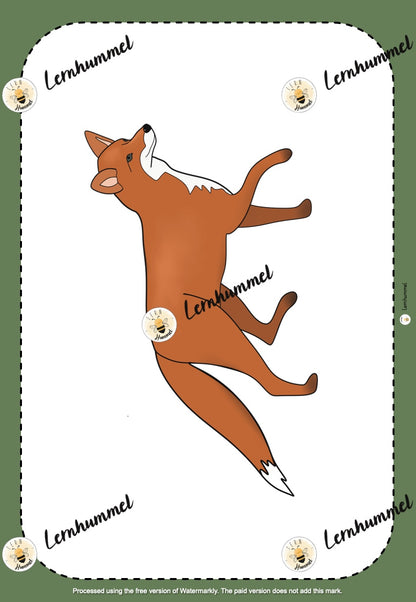 Tafelmaterial - Tiere und Pflanzen des Waldes
