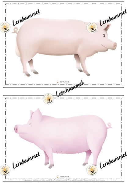 Materialpaket - Tierfamilien (Tafelmaterial, Übungsblätter & Spiele)