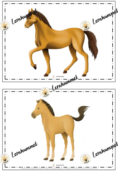 Materialpaket - Tierfamilien (Tafelmaterial, Übungsblätter & Spiele)