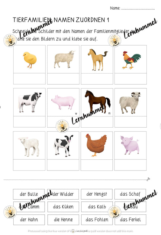 Übungsblätter 1 - Tierfamilien (Bild & Name zuordnen)