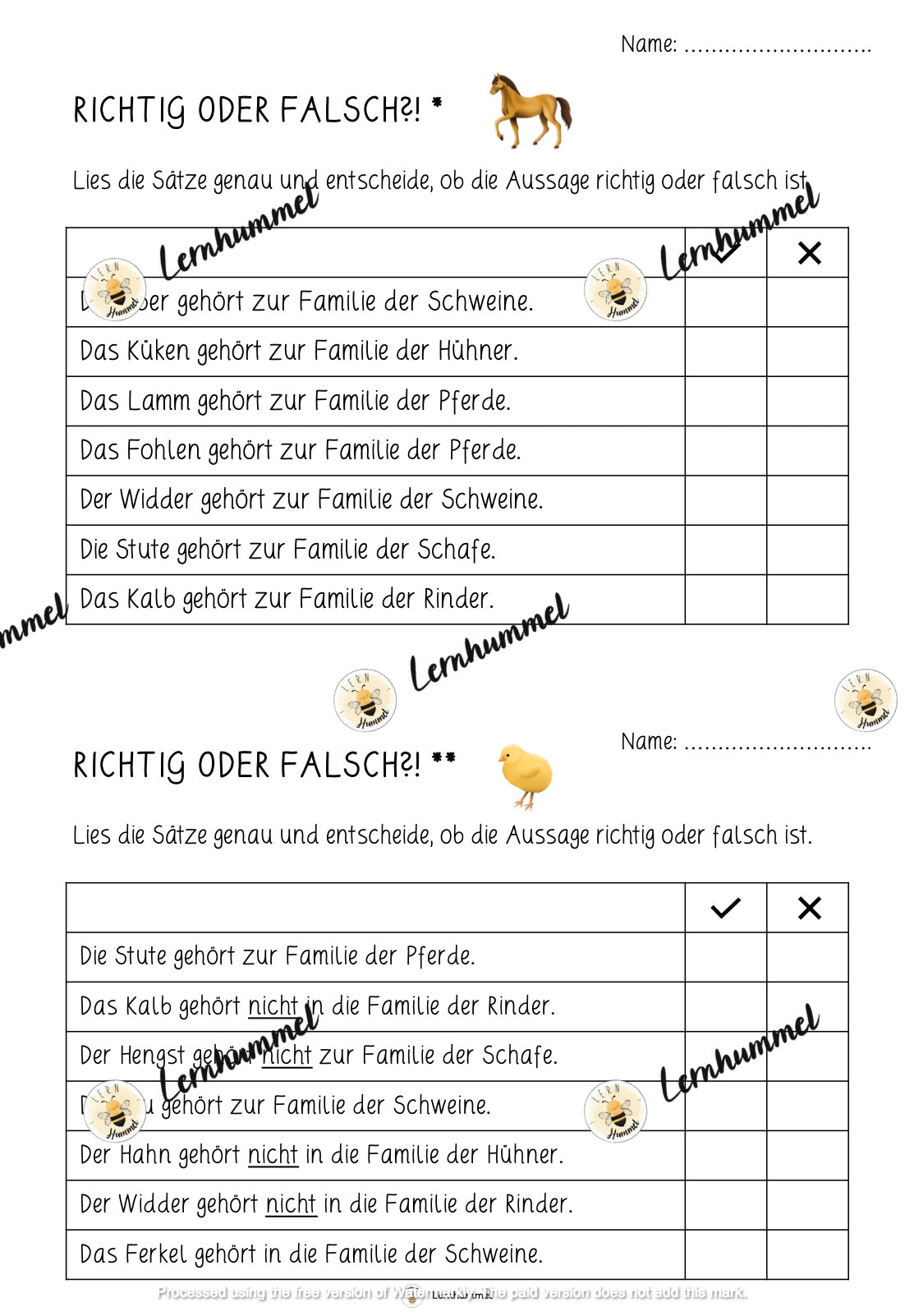 Übungsblätter 4 - Tierfamilien (Richtig oder falsch?)