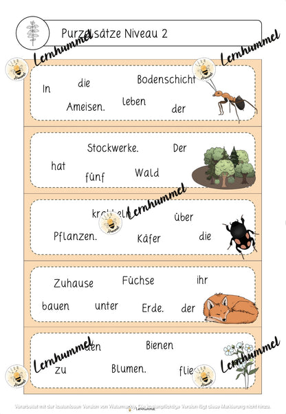 Deutschwerkstatt zum Thema Wald (fächerübergreifend)