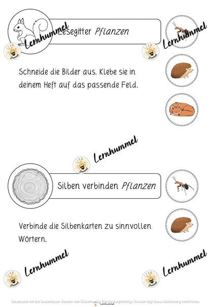 Deutschwerkstatt zum Thema Wald (fächerübergreifend)