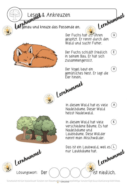 Deutschwerkstatt zum Thema Wald (fächerübergreifend)